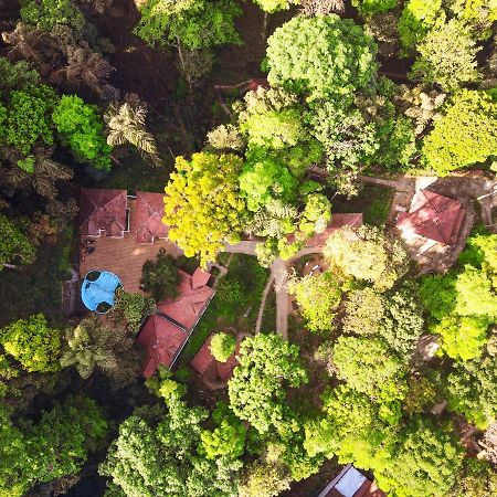 Qexperiences Coorg Hotel Madikeri Luaran gambar